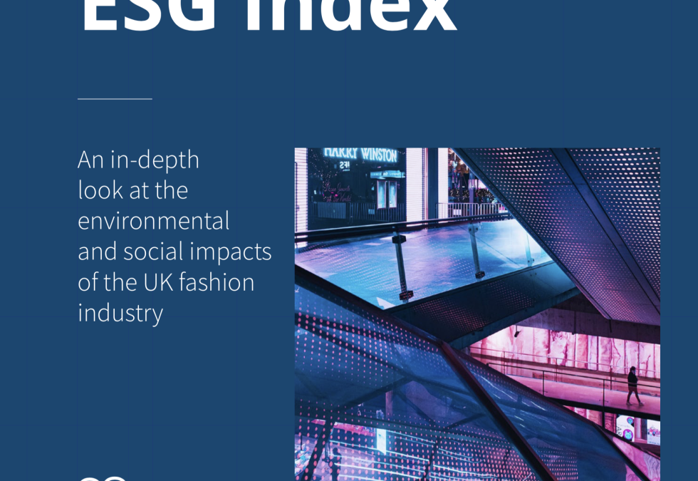UK Fashion ESG Index